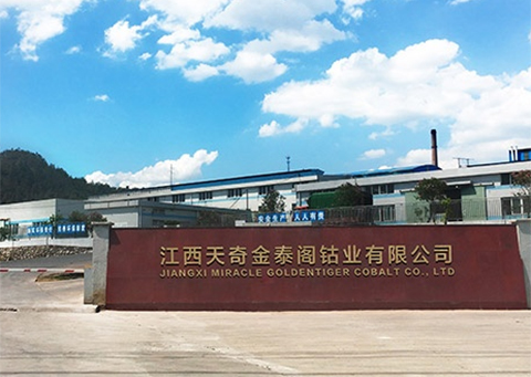 江西天奇金泰閣鈷業有限公司